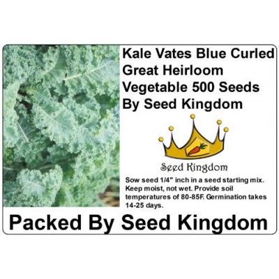 Kale Vates Blue Curled Great Heirloom Vegetable 500 Seeds By Seed Kingdom   
